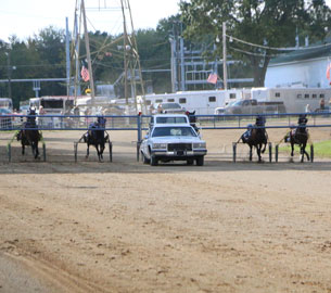 harness racing