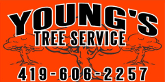 young's tree service logo